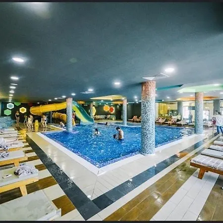 Kraljevi Cardaci Olja Kopaonik