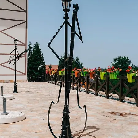 Kraljevi Cardaci Olja * Kopaonik