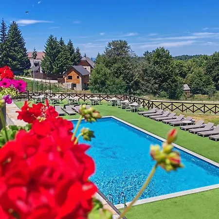 Kraljevi Cardaci Olja